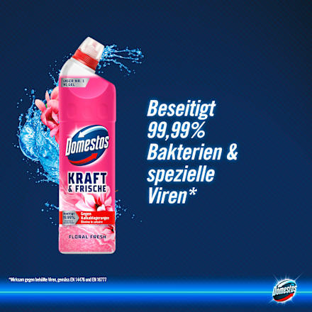 WC-Reiniger Gel Kraft & Frische Floral Fresh, 750 ml