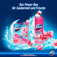 WC-Reiniger Gel Kraft & Frische Floral Fresh, 750 ml