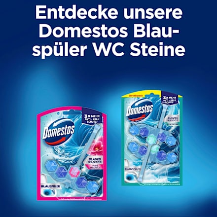 Toiletsteen blauw spoeling Oceaan, 2 stuks