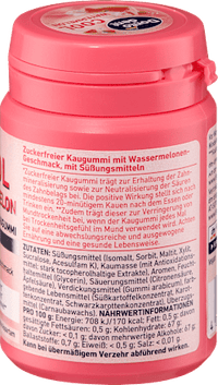 Kaugummi, Cool Watermelon, zuckerfrei, 50 St