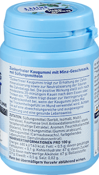 Kaugummi, Strong Mint, zuckerfrei, 50 St