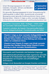 Glucosamin 1650 Kapseln 40 St, 45,2 g