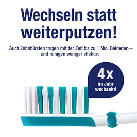 Zahnbürste Kinder Paw Patrol, bis 7 Jahren  Vorteilspack (2+1 Gratis), 3 St
