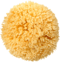 Natuurlijke badspons, 1 stuk