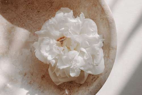 Creolen oorbellen verguld mode-sieraden, 2 stuks