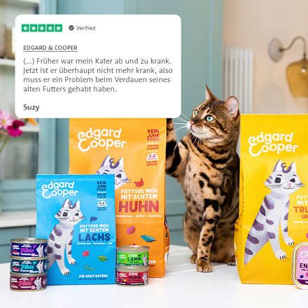 Droog kattenvoer met scharrelkip &amp; veenbessen, volwassen, 2 kg