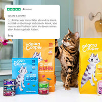 Droog kattenvoer met scharrelkip &amp; veenbessen, volwassen, 2 kg