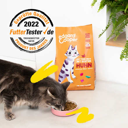 Droog kattenvoer met scharrelkip &amp; veenbessen, volwassen, 2 kg