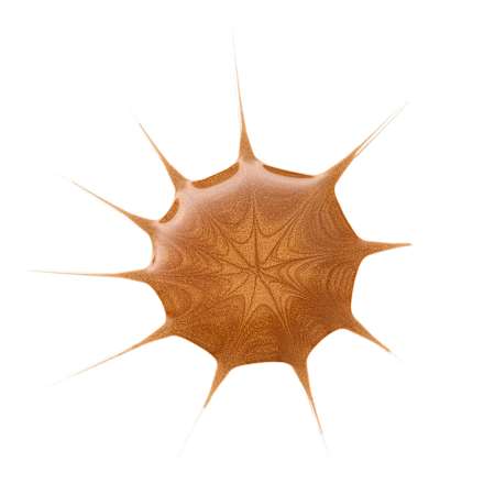 Bronzer Druppel Zonneschijn, 25 ml