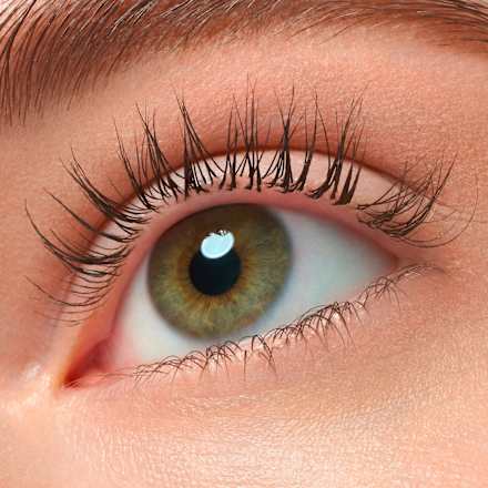 Mascara Lash Princess False Lash Effect Black Brown, 12 ml