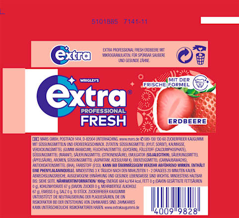 Kauwgom, Professional Fresh Strawberry, 10 stuks