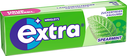 Kaugummi, Spearmint, zuckerfrei, 10 St