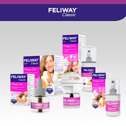 Navulverpakking voor feromoonverdamper "Classic" voor katten (3 stuks), 144 ml