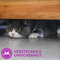 Navulverpakking voor feromoonverdamper "Classic" voor katten (3 stuks), 144 ml