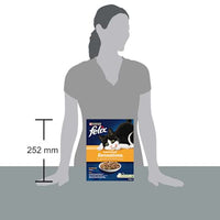 Trockenfutter Katze mit Huhn, Truthahn & Gemüse, Farmhouse Sensations, 1 kg Felix
