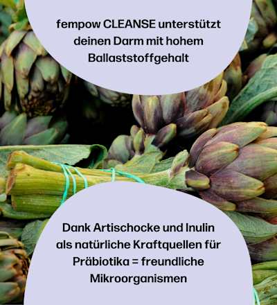 fempow Cleanse, 300 g fembites