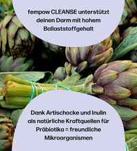 fempow Cleanse, 300 g fembites