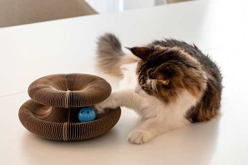 Kattenspeelgoed krabpaal Kava, 1 st.