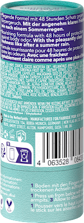 Deodorant stick Rain In The Woods, 40 g