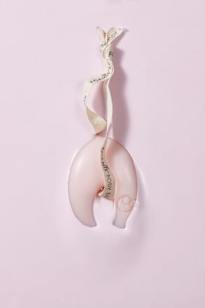 Festes Duschgel Kirschblüte & Reismilch, 80 g Foamie