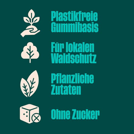 Kaugummi, Minze, zuckerfrei (10 Stück), 20 g