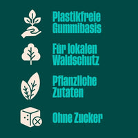 Kaugummi, Minze, zuckerfrei (10 Stück), 20 g