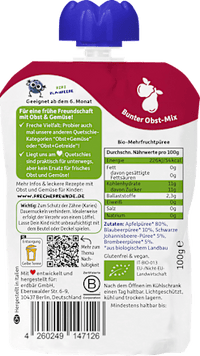 Quetschie Apfel, Blaubeere, Johannisbeere & Brombeere ab 6 Monaten, 100 g