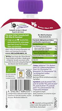 Quetschie Regenbogen-Frucht Apfel, Pfirsich, Banane, Birne, Blaubeere & Johannisbeere ab dem 6. Monat, 100 g
