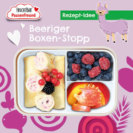 Kindersnack Pausenfreund Hafer-Happen, Himbeere, Apfel & Rote Bete ab 3 Jahren, 80 g