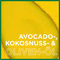 Conditioner Olie Reparatie, 250 ml