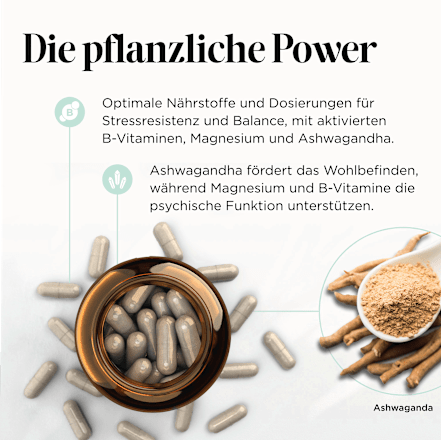 Anti Stress Edition Kapseln 60 St, 28 g