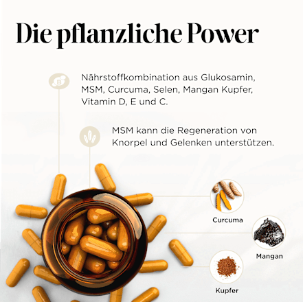 Arthro Gelenks Edition Kapseln 60 St, 46 g