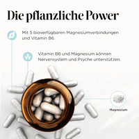Magnesium Komplex Edition Kapseln 60 St, 46 g