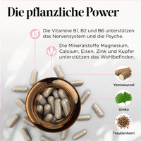 PMS Zyklus Edition Kapseln 60 St, 39 g