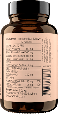 Synbiotic Darm Edition Kapseln 60 St, 41 g