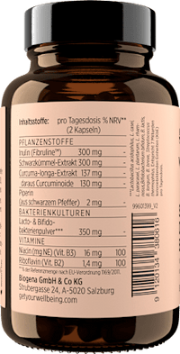 Synbiotic Darm Edition Kapseln 60 St, 41 g