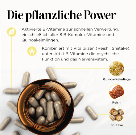 Vitamin B Nerven Edition Kapseln 60 St, 13 g