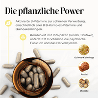 Vitamin B Nerven Edition Kapseln 60 St, 13 g
