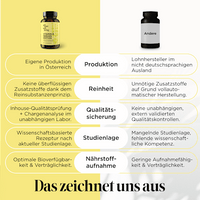 Vitamin B Nerven Edition Kapseln 60 St, 13 g