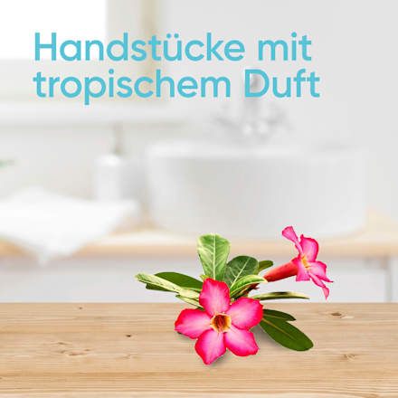 Einwegrasierer, Tropical, 3 St