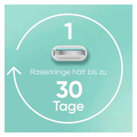 Rasierklingen, Smooth Sensitive, 8 St Gillette Venus