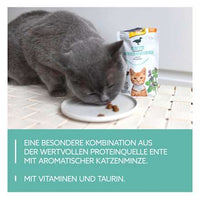 Katzenleckerli mit Ente & Katzenminze, Crunchy Snack, 50 g