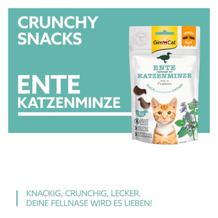 Katzenleckerli mit Ente & Katzenminze, Crunchy Snack, 50 g