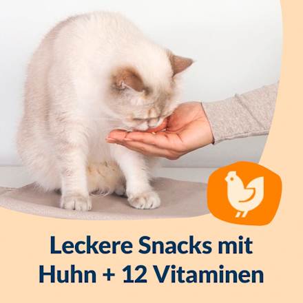 Katzenleckerli Nutri Vitamin Bites, 40 g