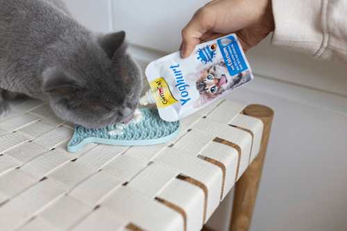 Voedingssupplement voor katten, yoghurt, 150 g