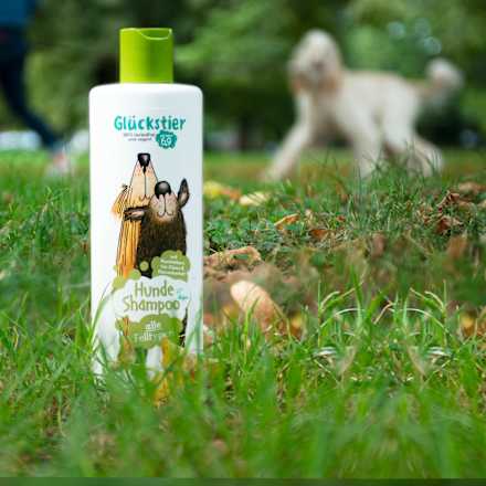 Hondenshampoo voor alle vachttypes, 250 ml