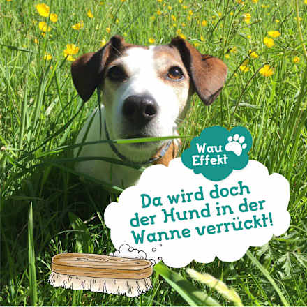 Hondenshampoo voor alle vachttypes, 250 ml