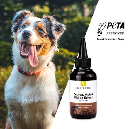 Lotion für Hunde Anti Zecken, Flöhe & Milbenschutz, 100 ml Greendoor
