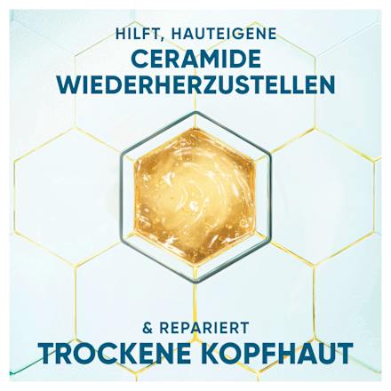 Shampoo Derma x Pro Verzachtend, 400 ml