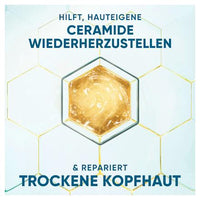 Shampoo Derma x Pro Verzachtend, 400 ml